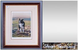 Steven Townsend Limited Edition Coloured Print Titled `Look Sharp`. Framed and Mounted Behind