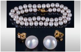 Akoya White Cultured Pearl Earring & Necklace Set.