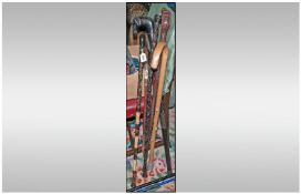 7 Miscellaneous Walking Sticks. With Elephant Carved Ebony, , Chinese Style Dragons, Oriental
