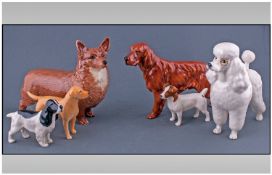 Beswick Dog Figures, 6 In Total. Comprises Poodle, Foxhound, Jack Russell Terrier, Spaniel, Irish