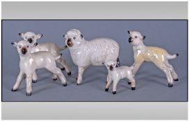 Beswick Farm Animals Sheep And Lamb Figures, 5 In Total. Issued 1941-1971. Various sizes and models.