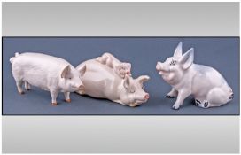 Beswick Farm Animal Figures. 3 large pig figures. All figures in excellent condition.