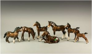 Beswick Horse Figures - A Collection of Foal Figures - Brown Colour way ( 8 ) In Total. Various