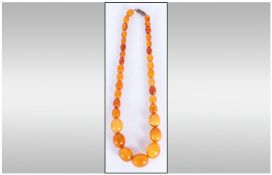 Vintage Amber Bead Graduated Necklace, honey colour with screw opening fitment clasp.