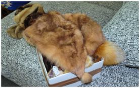 Collection Of Various Fur ITems