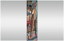 7 Miscellaneous Walking Sticks. With Elephant Carved Evony, , Chinese Style Dragons, Oriental