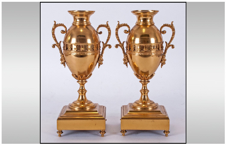French 19th Century Pair Of Gilt Metal Two Handled Vases. Probably part of a clock garniture set