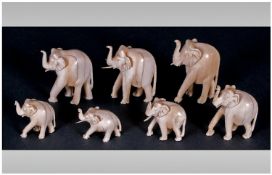 An Early 20th Century Group Of Seven African Elephant Figures. Various sizes. Tallest figure 2.5