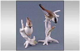 Karl Ens Bird Figures comprising Crested Tit and Coal Tit with ladybird. 8 and 6 inches in height.