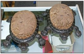 Victorian Rare And Unusual Pair Of Ebonised Wooden Footstools, In the form of turtles with glass