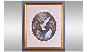 Kim Thompson Signed Limited Edition Royal Doulton Print Titled "The Beauty Of Owls" Mounted and