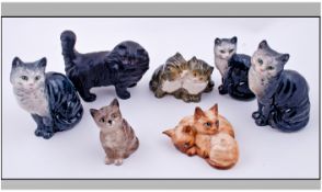 A Good Collection Of Beswick Cat Figure, 7 In Total. All figures in excellent condition. 1, cat