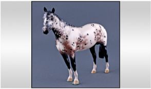 Beswick Horse Figure ``Appaloosa Stallion.`` Colour way two. Model number 1772. Retired 1989.