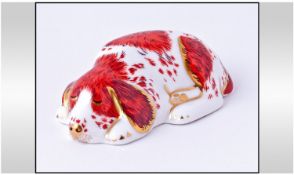 Royal Crown Derby Puppy Spaniel Paperweight. With stopper and box.