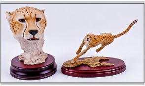 Two Resin Cheetah Figures, by Sherratt and Simpson. Both on plinths. One depicting running cheetah