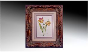 A Floral Coloured Print In An Elaborate Gilt Rococo Frame. Mounted and framed behind glass. 22 x 19