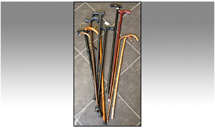 Collection Of Assorted Walking Sticks. 10 items in total.