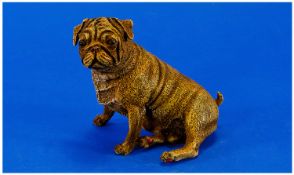 Vienna Style Bronze Seated Pugdog, cold painted and stamped GESCHUTZT 8142.