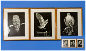 Set of Six Framed Pen and Ink Sketches by Derek Harwood. `Bird Studies`.  Comprises `Barn Owls`, `