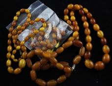 Three single strand amber bead necklaces, each with gilt metal clasps and a small quantity of