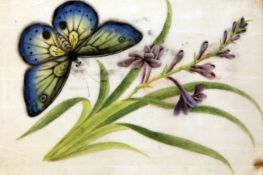 A Chinese album of nine pith paintings of butterflies, 19th century, each mounted on paper leaves,