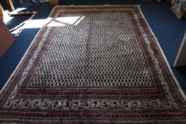 A Mir Sarouk carpet, with tightly packed field of botehs, on an ivory ground, with multi row border,