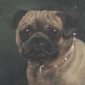 19th century English Schoolpair of oils on card,Portraits of a Pug and a Terrier,6 x 6in.