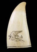 A 19th century scrimshaw sperm whale tooth, decorated with a cormorant, crossed sceptre and trumpet,