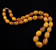 A single strand graduated amber bead necklace, with silvered barrel clasp, gross weight 51 grams,