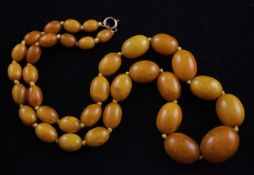 A single strand graduated amber bead necklace, with gilt metal clasp, gross weight 59 grams, 25in.