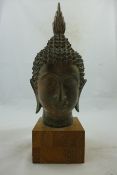 A Thai bronze head of Buddha, with tightly knotted hair and flame finial, 32cm., wood