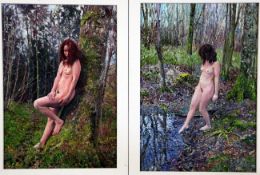 Simon Mouncey12 oils on card,Nudes in the woods near Sherbourne,monogrammed, c.2014,largest 11 x 7.
