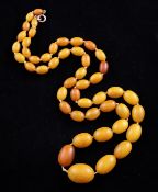 A single strand graduated amber bead necklace, with gilt metal clasp, gross 44 grams, 29.5in.