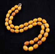 A single strand graduated amber bead necklace, with 9ct gold clasp, gross 17 grams, 17in.