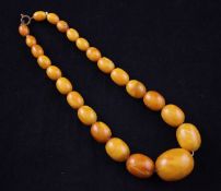 A single strand graduated oval amber bead necklace, with base metal clasp, gross weight, 47 grams,