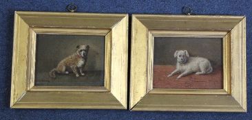 F. van Mechelenpair of oils on wooden panels,Studies of dogs,one signed and dated 1889,3.5 x 4.