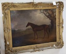 19th century English Schooloil on canvas,Bay hunter in a landscape,18 x 24in.