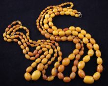 Four single strand graduated oval amber bead necklaces, two with clasps, gross weight, 138 grams,
