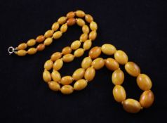 A single strand graduated oval amber bead necklace, with 9ct gold clasp, gross weight 44 grams,