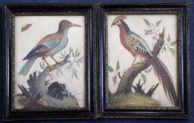 Samuel Dixon (b.1769)two Irish basso relievo pictures,Studies of exotic birds,10.25 x 8in.