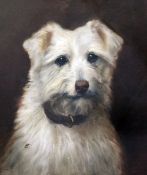 Frances C. Fairman (1836-1923)oil on canvas,Portrait of a Westie,monogrammed F.T.,13.5 x 11.5in.