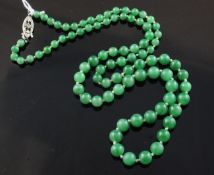 A single strand graduated jadeite bead necklace, with diamond set 9ct white gold clasp, 20.75in.