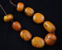 A single strand graduated ovoid amber bead necklace, with silvered clasp, gross weight, 112 grams,