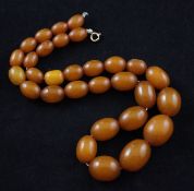 A single strand graduated oval amber bead necklace, with clasp, gross weight 41 grams, 18.25in.