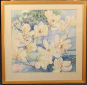 Elizabeth Jane Lloyd (1928-1995)watercolour,Magnolia blossom,signed,22 x 22.5in.