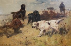 Henry Schouten (Belgian 1864-1927)oil on canvas,Setters in the field,signed,24 x 35.5in.