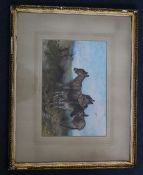 Harrison Weir (1824-1906)watercolour,Donkeys on a hillside,signed and dated 1880,7 x 10.5in.