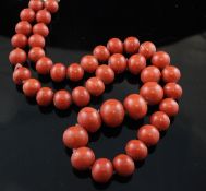 A single strand graduated coral bead necklace, with gilt metal clasp, gross weight 98 grams, 19.