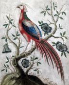 Samuel Dixon (b.1769)two Irish basso relievo pictures,Studies of exotic pheasants,largest 12 x 10.