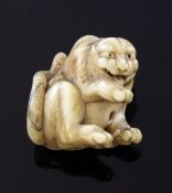 A Japanese ivory netsuke of a tiger, 19th century, seated and licking its right paw, engraved two